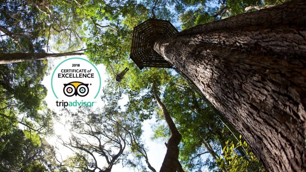 TripAdvisor Champions!